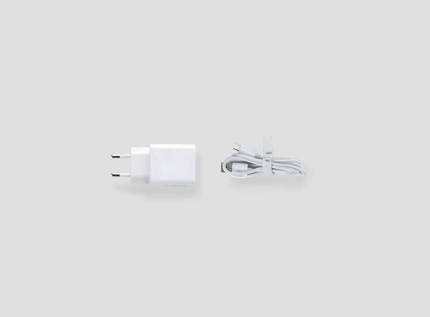 Zafferano _ Sister Light mini, caricabatterie con doppia entrata USB-c e cavo di ricarica con entrata USB-c